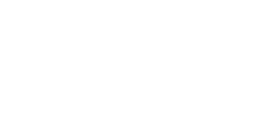 Distribution of Shares